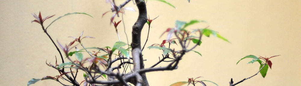 健民ダイニング